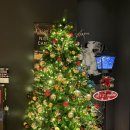 인터게이트 | 호텔 인터게이트 오사카 우메다 후기(스탠다드 더블룸)