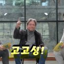 고고싱 - 세종특별자치시 | 고고싱