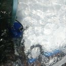 오늘도 장어 이미지