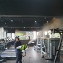 그린핏 코리아 이미지