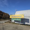 은행나무하우스낚시터 | 쌀쌀한 날씨에 딱! 춘천 가족낚시 은행나무하우스실내낚시터에서 따뜻한 손맛 보고 왔어요