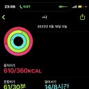 오모테산도카레 이미지