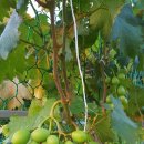 산이네농장 이미지