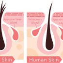 애견발자국 이미지