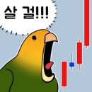 빵굽는곰
