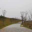 배곧생명공원 이미지