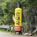 횡성순대국 | 횡성 웰리힐리 맛집 둔내한방순대국 내돈내산 아침식사