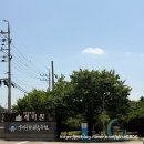 양평 세미원 연꽃축제 기간 주차장 입장료 수목원 식물원 가볼만한곳
