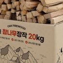 매미캠프 네이버블로그