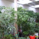 유림꽃화원 이미지