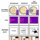 [유머] Difference between postdoc, technician, and phd student 이미지