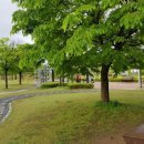 봉명5길 이미지