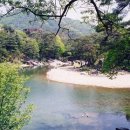 탁사정 이미지