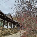 빵굽는남자 - 강서구 명지오션시티10로 16 | 빵굽는남자