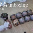 로맨스 다육 네이버블로그