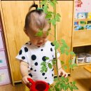 토마토아트유치원 이미지