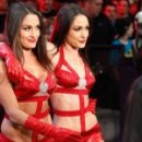 The Bella Twins 이미지