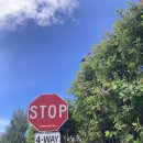 페인트볼 | 캐나다 워홀+124 페인트볼 원래 이렇게 무섭냐고요ㅠ