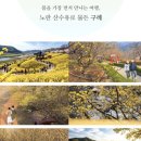 (종료)3월20일(금)~22일(일)전남 광양 매화&amp;구례산수유 봄꽃 여행 이미지