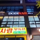 두디네일 | 사송속눈썹 드디어 생겼다! 두디네일 샵인샵 오슈뷰티