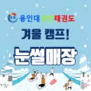 용인대성민태권도 이미지