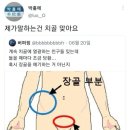 치골에 열광하는 친구들 있는데 들을때마다 당황스러움.. 이미지