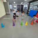 용인대 마루한 태권도 이미지