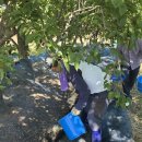 이평면사무소 이미지