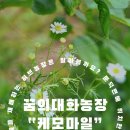 꿈의대화농장