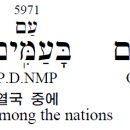 아피츠 이미지
