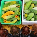 금산국제인삼시장(금산인삼국제시장) 이미지