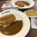 오레타치카레 | 홍대입구역 일본식 카레 맛집 오레타치카레 내돈내산 후기