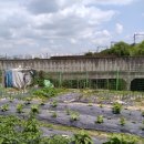 부천종합운동장역(서해선) 이미지