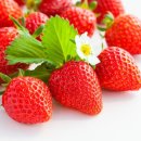 계백농장 이미지