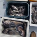 노리앤조이 이미지