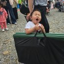 화순 하니움문화스포츠센터 공설운동장 | [전남 화순] 화순 봄꽃축제 주차 꿀팁부터 아이 체험까지 가족 나들이 완벽 코스