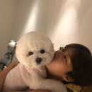 쭌 Daum카페
