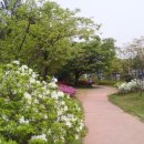 전대사대부중 앞 이미지