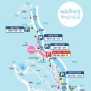 2022-03월22(화)전남 광양 매화축제-지리산- 구례 산수유축제 이미지