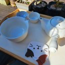 도시고양이생존연구소 이미지