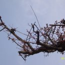 김해건설공업고등학교 이미지