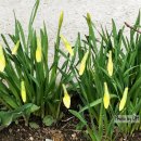 솔기아파트 이미지