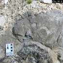 대가주천 이미지