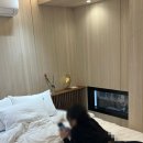 스윽테이 이미지