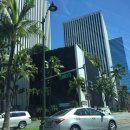 스카이렌트카 이미지