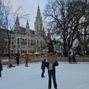 마켓아이스 | 2025 비엔나 시청사 크리스마스 마켓 아이스링크 예약 링크 후기