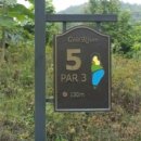 골드리버 cc 이미지