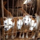 손주들농장 이미지