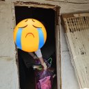 머물다꽃담 이미지