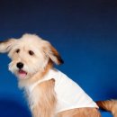 사계절 옷 이미지